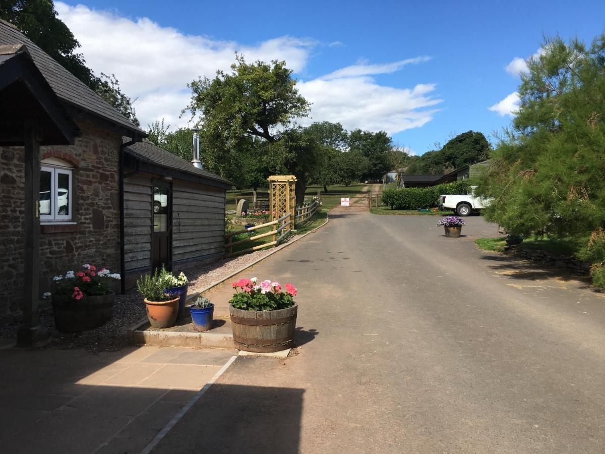 Grove Farm B&B Leominster Exteriér fotografie